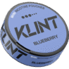 500X500_0017_BLUEBERRY-1