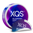 XQS_UK_TransitionPack_Blueberry-Mint_8mg_280x280